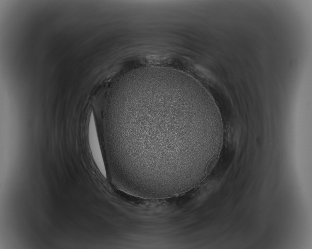 X0000086321346200704131644