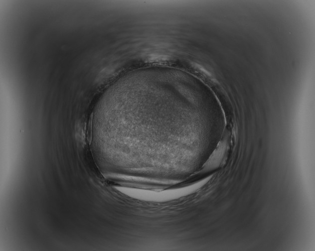 X0000086321348200704131644