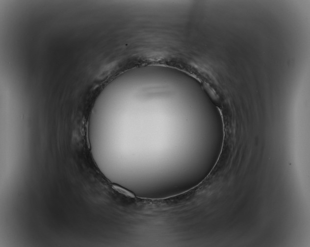 X0000086321349200704131644