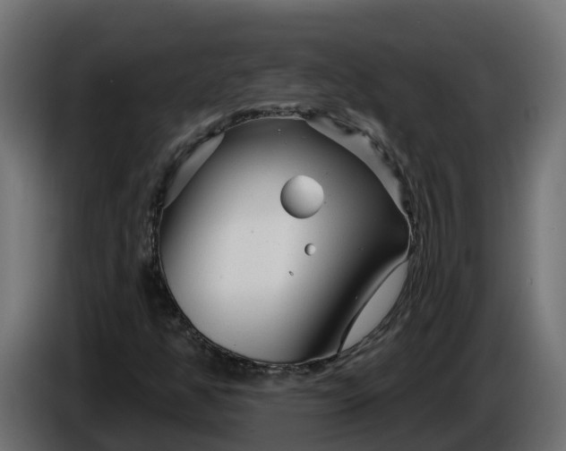 X0000086321350200704131644