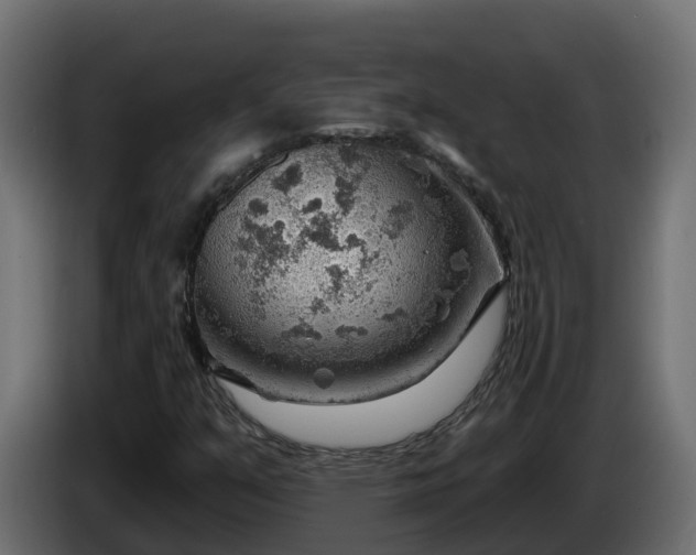 X0000086321351200704131644