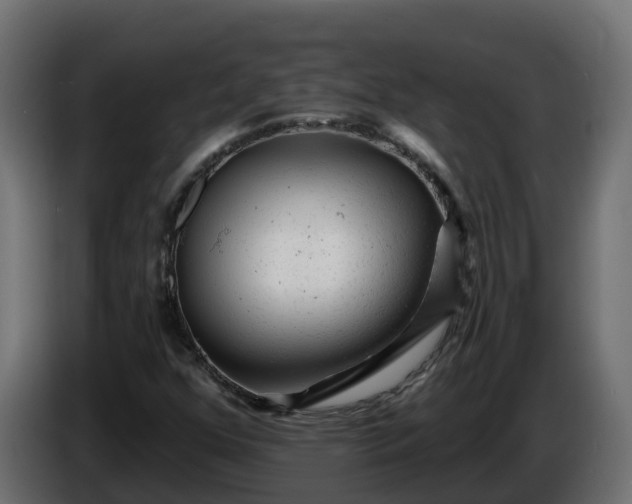 X0000086321352200704131644