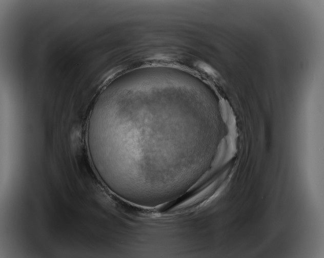 X0000086321353200704131644