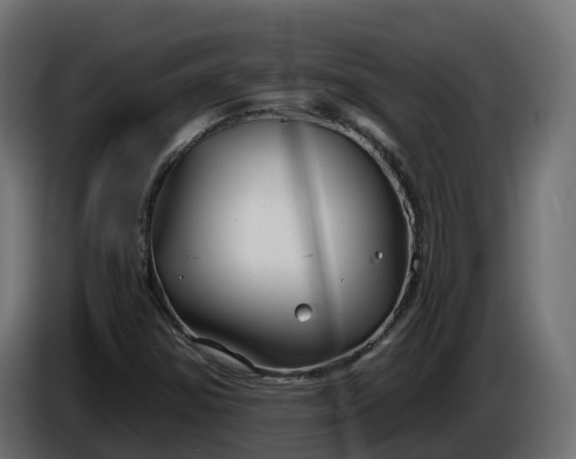 X0000086321354200704131644