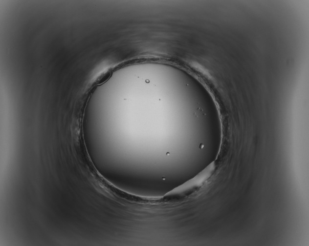 X0000086321355200704131644