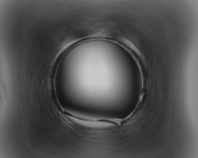 X0000086321356200704131644