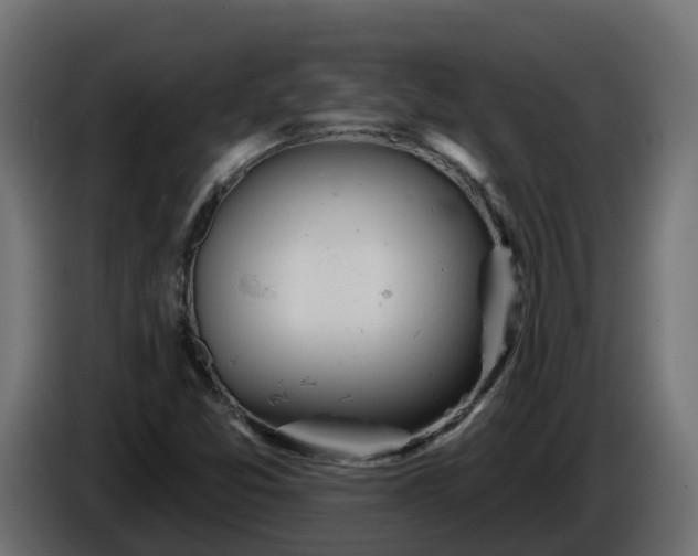 X0000086321357200704131644