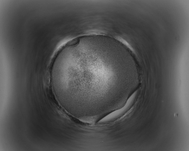 X0000086321358200704131644