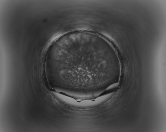 X0000086321359200704131644