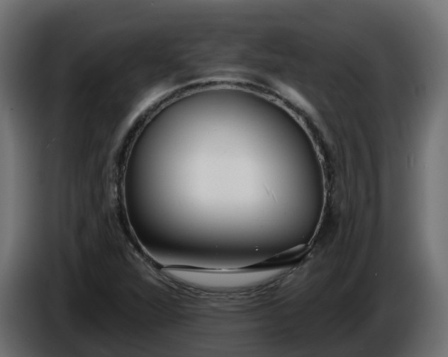 X0000086321360200704131644