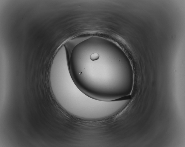 X0000086321361200704131644