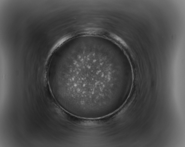 X0000086321362200704131644