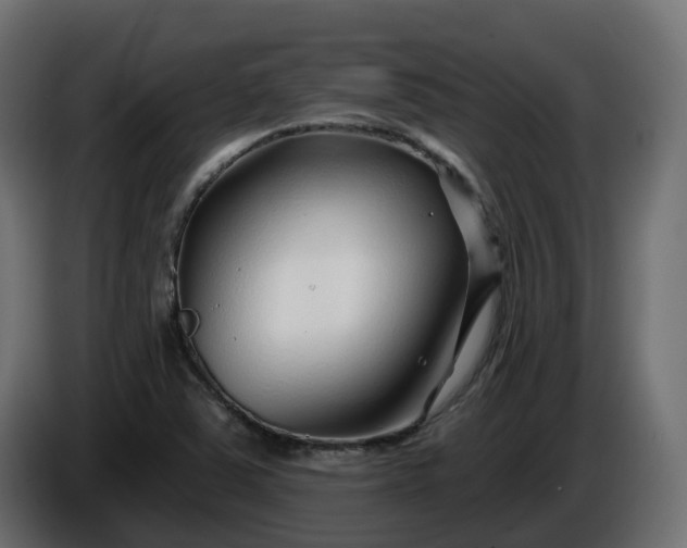 X0000086321363200704131644