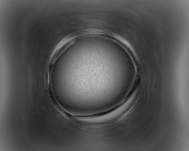 X0000086321365200704131644