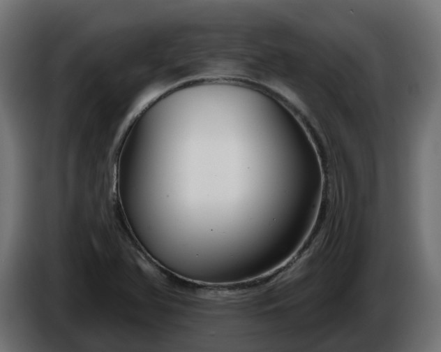 X0000086321366200704131644