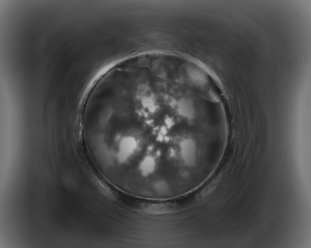 X0000086321367200704131644