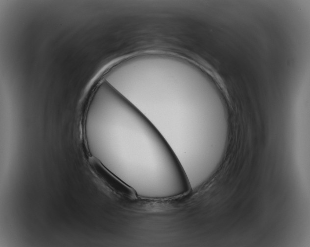 X0000086321368200704131644