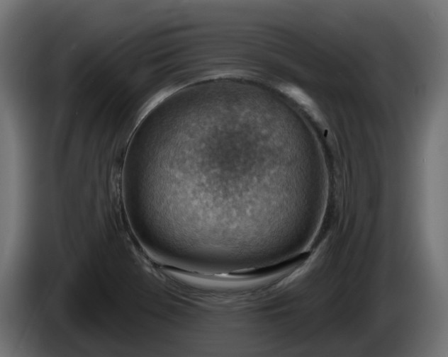 X0000086321369200704131644