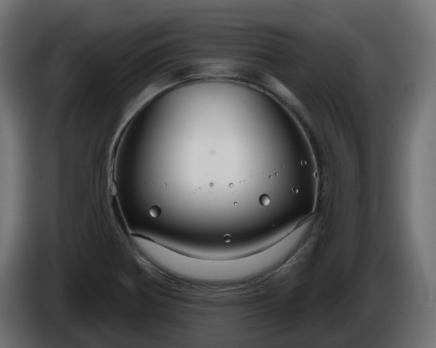 X0000086321370200704131644