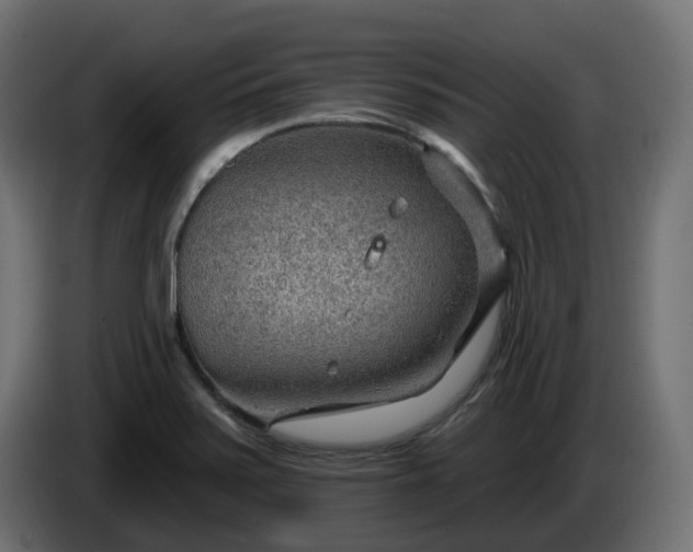 X0000086321371200704131644