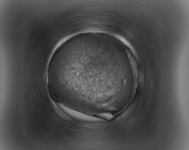 X0000086321372200704131644