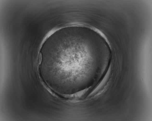 X0000086321373200704131644