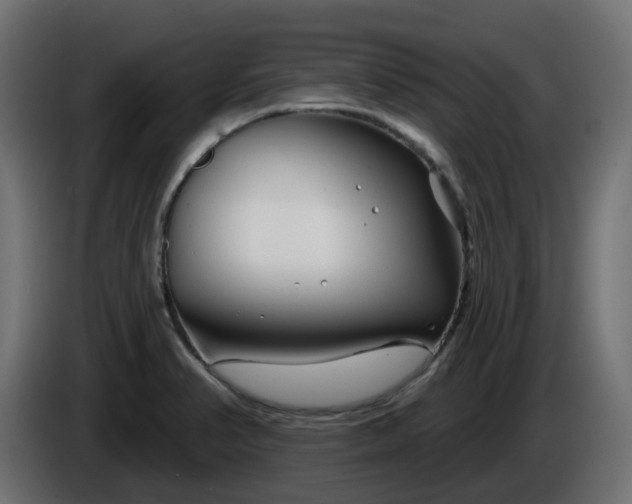 X0000086321374200704131644