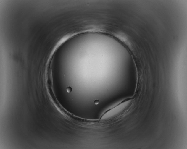 X0000086321375200704131644