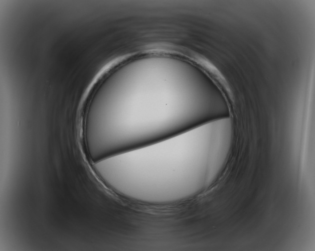 X0000086321376200704131644