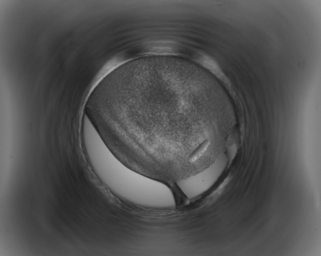 X0000086321378200704131644