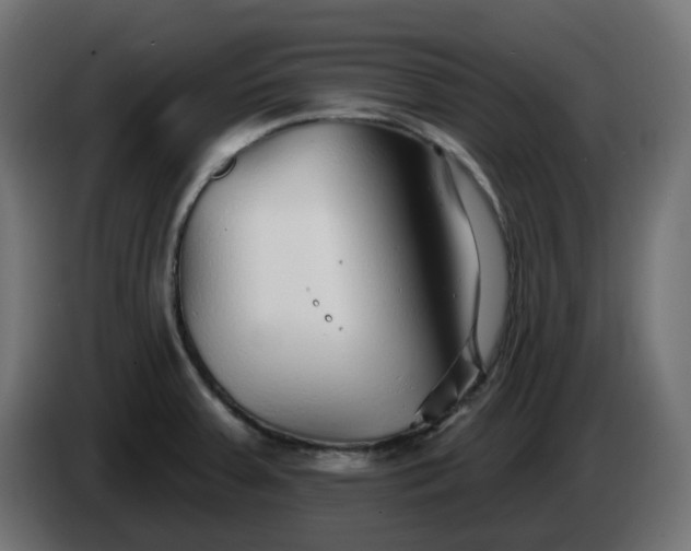 X0000086321379200704131644