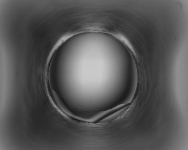 X0000086321381200704131644