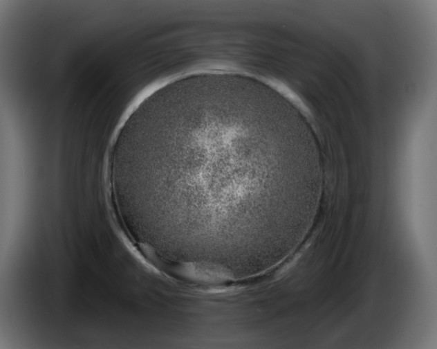 X0000086321382200704131644