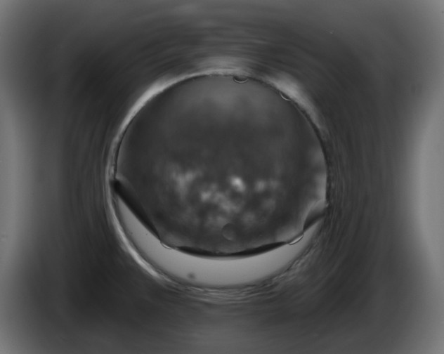 X0000086321383200704131644