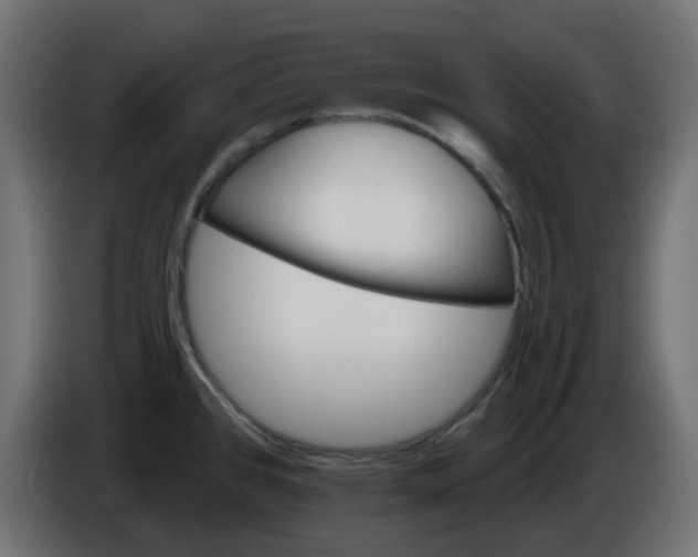 X0000086321384200704131644