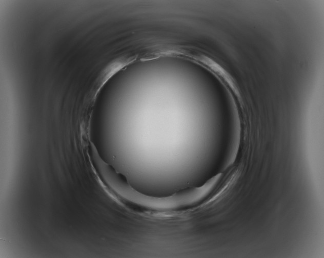 X0000086321385200704131644