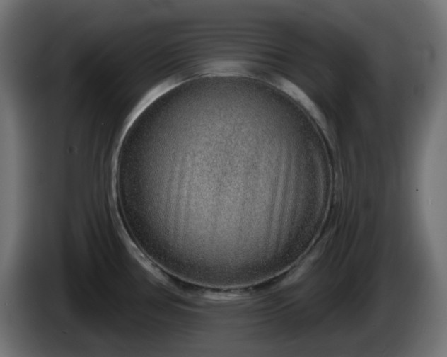 X0000086321386200704131644