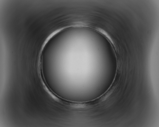 X0000086321387200704131644