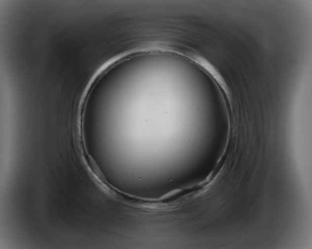 X0000086321388200704131644