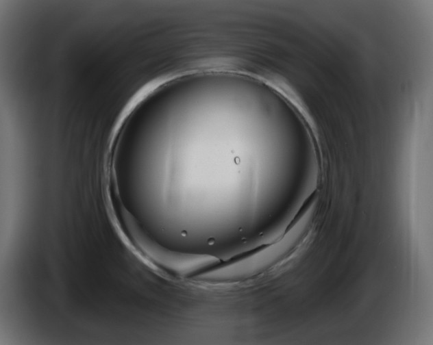 X0000086321389200704131644