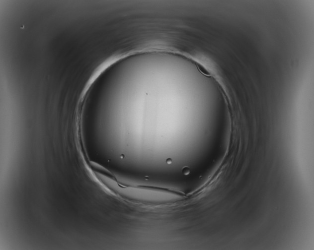 X0000086321390200704131644