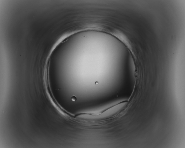 X0000086321391200704131644