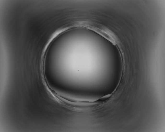 X0000086321392200704131644