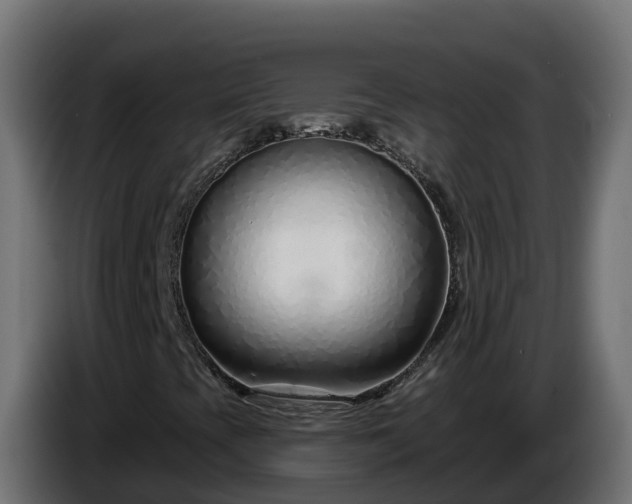 X0000086321393200704131643