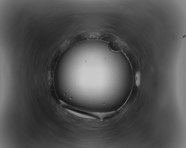 X0000086321395200704131643