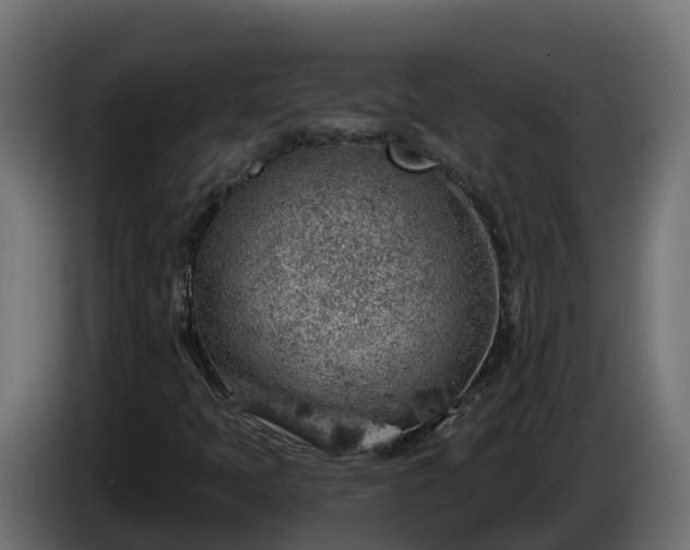 X0000086321397200704131643