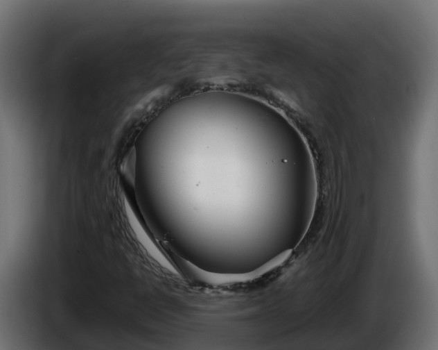 X0000086321398200704131643