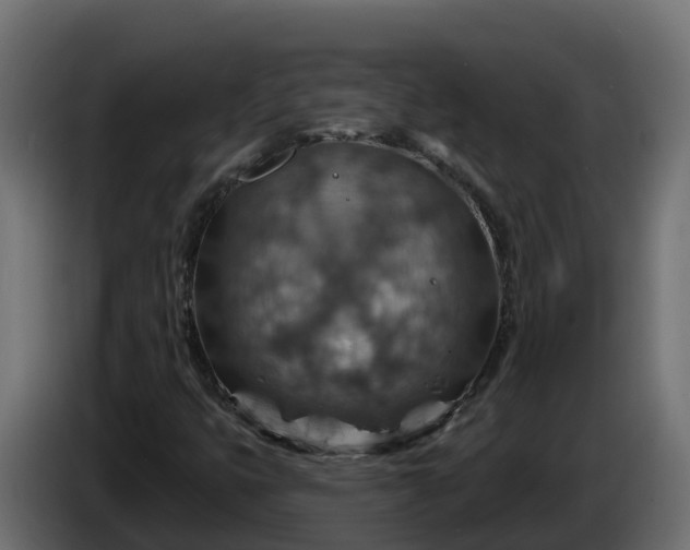 X0000086321399200704131643