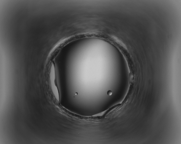 X0000086321400200704131643