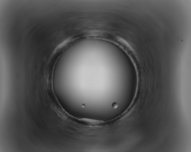 X0000086321403200704131643